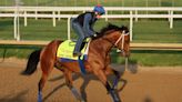 Kentucky Derby 2024: Encino Scratched With A Sprain, Replaced By First Alternate Epic Ride