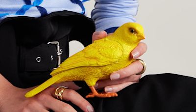 Bizarre celeb loved clutch bag looks like you're carrying plastic bird