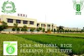 National Rice Research Institute