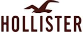 Hollister Co.