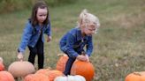 14 pumpkin patches, apple orchards and corn mazes near Springfield and around the Ozarks