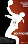 High Flying Bird