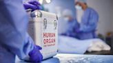香港器官捐贈爭議：醫療事務何以牽涉中國國家安全