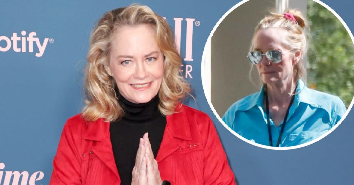 Cybill Shepherd Spotted Out Looking Unrecognizable