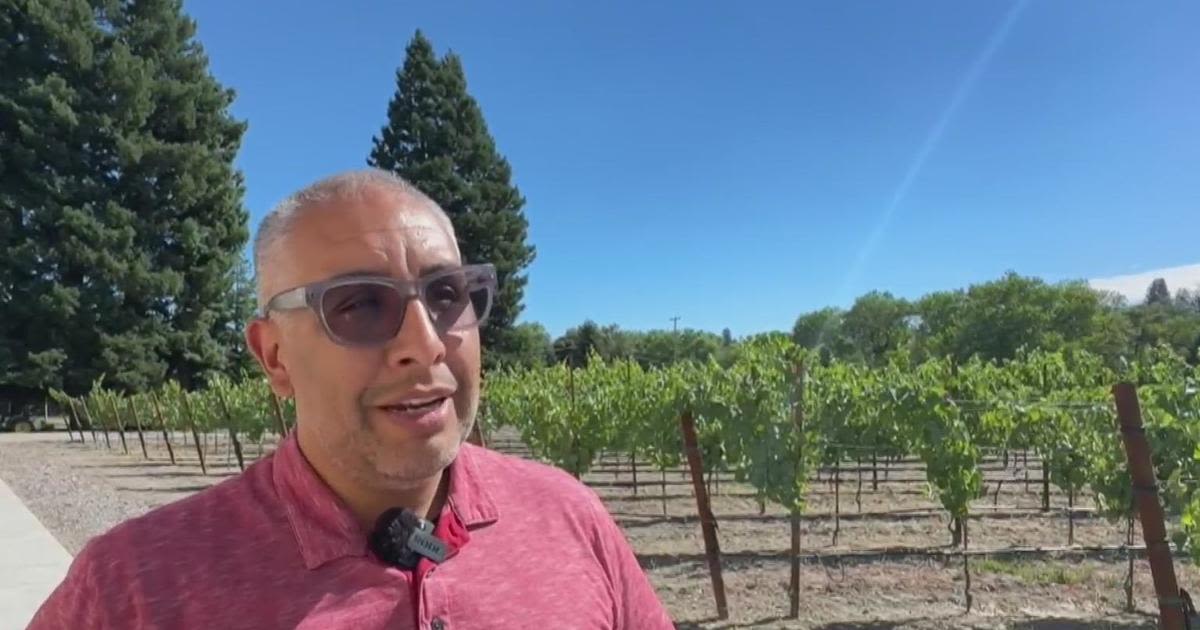 Sonoma County vineyard owner recalls past trauma as nearby wildfire burns