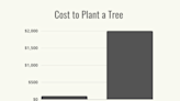 How Much Does It Cost to Plant a Tree?