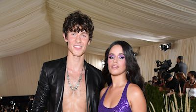 Camila Cabello & Ex Shawn Mendes Seen Together at Copa America After Their Second Breakup