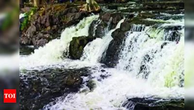 Water Inflow Surges at Hogenakkal Waterfalls | Salem News - Times of India