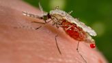 Florida is under a malaria alert, and there are now more cases of the mosquito illness