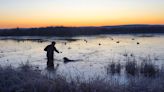 Smith: Horicon Marsh yields riches to Armistice Day duck hunters