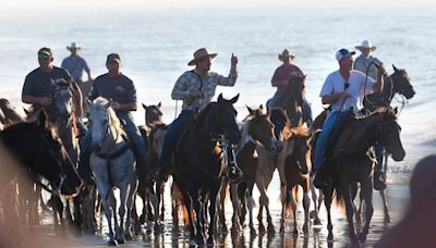 Perspective: Western rangelands are overpopulated with wild horses. The East can help