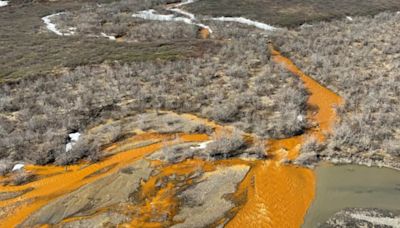 El cambio climático tiñe de naranja los ríos de Alaska y amenaza el ecosistema acuático