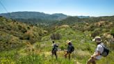 New luxury L.A. hillside development in severe fire danger zone brings protests. 'Just not safe'