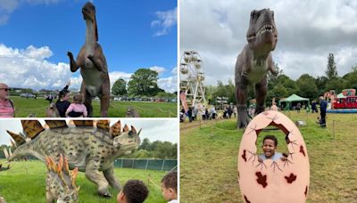 Last chance for dinosaur lovers to see life-sized figures in Danson Park