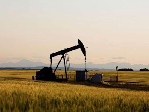 Latest Market News Today Live Updates July 22, 2024: Oil prices drop as investors react to Biden's exit, focus on Fed rate cuts; brent crude at $81.95/bbl