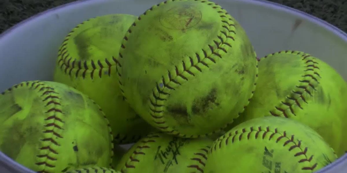 Iowa Park Lady Hawks one win away from State