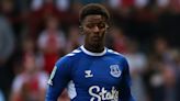 Demarai Gray effort enough as Everton edge Carabao Cup win at Fleetwood