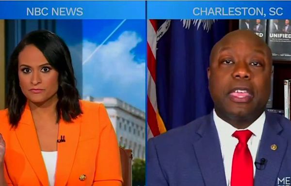 'Pathetic': Potential Trump V.P. Tim Scott mercilessly mocked after grilling by NBC host