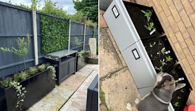 I brought 2 filling cabinets and turned them into gorgeous planters