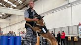 Cómo trabajan los perros de la Aduana para detectar sustancias prohibidas y divisas