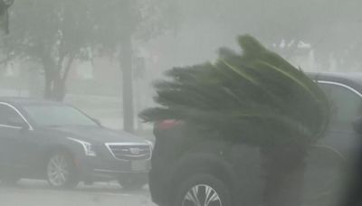 Hurricane Francine brings high winds, heavy rains to St. Mary Parish; thousands across Acadiana without power