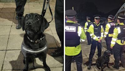 Police dog sniffs out several people with cocaine in pubs