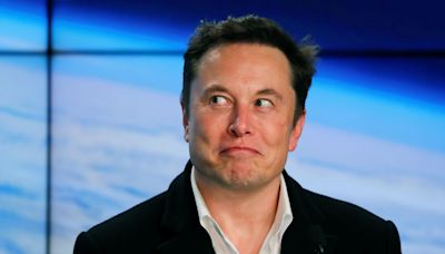 Elon Musk says all jobs will be optional in the future as AI will take care of us — if we're lucky