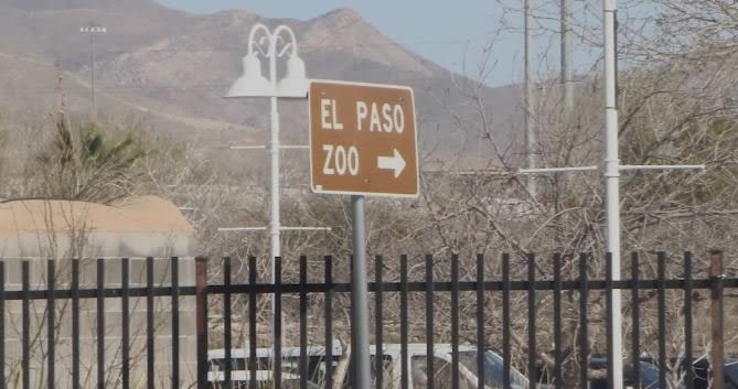 Legal battle continues between El Paso Zoological Society and City, complaints filed - KVIA