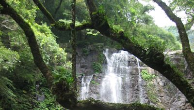 〈中華旅遊〉滿月圓森林賞楓趣