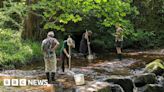 Sheffield: New app helps track levels of river pollution