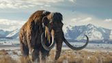 Colossal Biosciences has made headlines as the de-extinction startup primed to bring back the woolly mammoth. Here’s how the business model actually works.