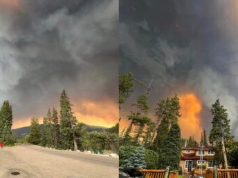 "We lost half of our cabins": Jasper wildfire damages Alpine Village | News