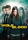 Wolfblood Secrets