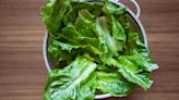 Keep lettuce ‘fresh’ and ‘crisp’ for ‘so long’ – no paper towel needed