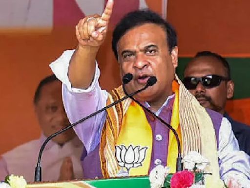 If Congress Wins, Sonipat Will Become Mini Bangladesh: Himanta Biswa Sarma In Haryana Poll Rally