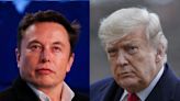 Elon Musk, nuevo dueño de Twitter, planea restablecer las cuentas suspendidas de forma permanente, como la de Donald Trump