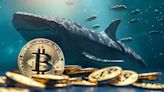 Blockchain Data: Bitcoin Whale Activity Surging, Confidence in Bull Market Returning