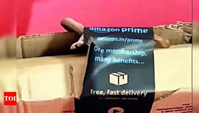 Bengalurean gets live cobra in package: ‘Amazon kept me on hold for 2 hrs, despite potential danger’ | Bengaluru News - Times of India