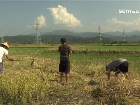 大暑要來了！命理師：5生肖「小鬼門開」可五鬼運財