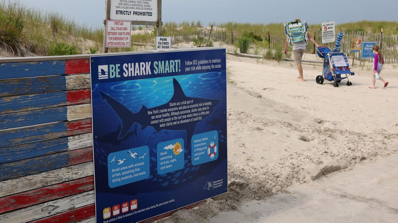 Officials: Five shark sightings in 4 days off Long Island beaches