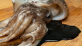 Store-Bought Squid Ink Isn't Always The Real Deal