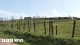 Plans for battery storage in Aspatria to power 162,000 homes