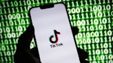 Opinion | TikTok Started Out Silly but Turned Deadly Serious