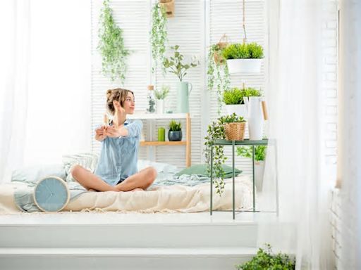 5 plantas que puede tener en su dormitorio: ¿tienen beneficios para dormir mejor?