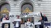 Animal activists ramp up pressure on SF Zoo amid ongoing investigation