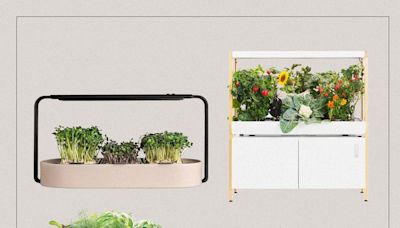 These Indoor Herb Gardens Will Help You Save Space and Time in the Kitchen