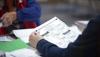 RNC sues to block count of Nevada mail ballots received after Election Day