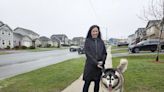 Vehicles are speeding past school buses in this St. John's neighbourhood, and residents want action