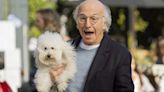 'Curb Your Enthusiasm' Will Reportedly End With Season 12