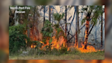 Interstate 75 reopens after brush fire forces closure